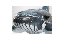 Intex ride-on opblaasbare walvis (201 cm)-2
