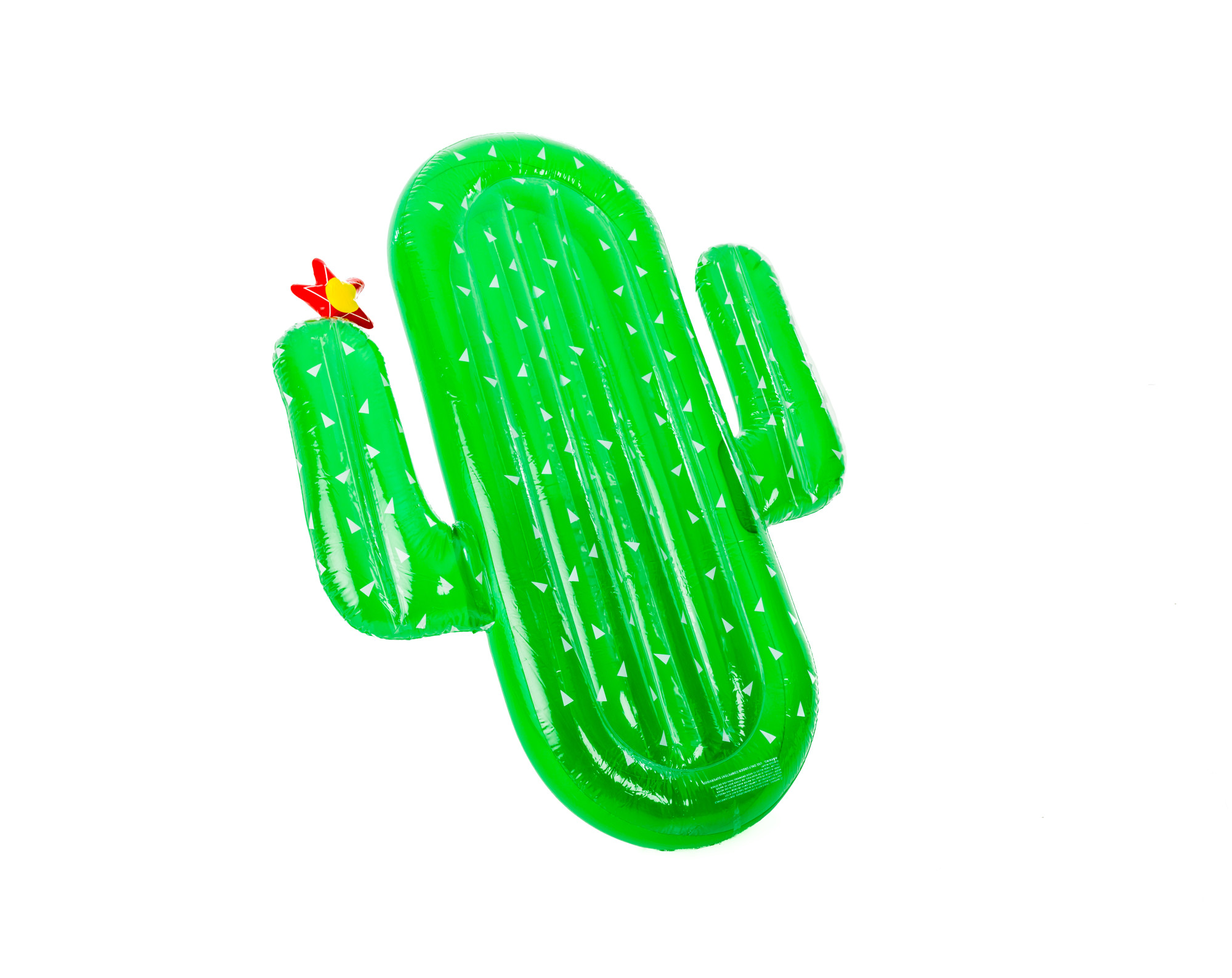 Luchtmatras cactus 185x132x20cm Didak
