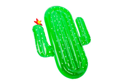 Luchtmatras cactus 185x132x20cm Didak