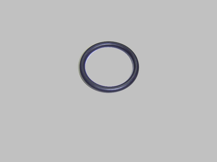 Wisselstukken - O-ring afdichting 38x5 PPE Sena (ASTRAL)