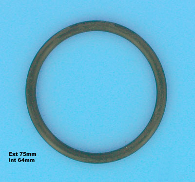 Wisselstukken - O-ring voor FILTER (MicroClear, Super Star Clear, Top/S, Polyester) -  (HAYWARD)
