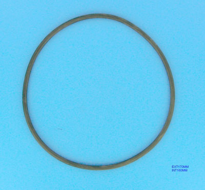 Wisselstukken - O-ring FILTER (GM140, S0200S) -  (HAYWARD)