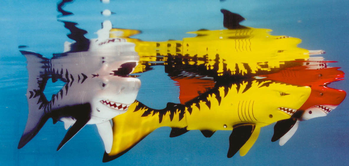 Battle Shark in 3 verschillende kleuren